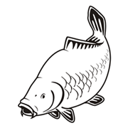 fishlogo